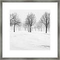 Stark Framed Print