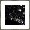 Starry Night 2 Framed Print