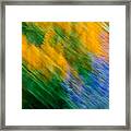 Staying In Motion Framed Print