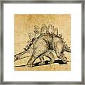 Stegosaurus Dinosaur Framed Print