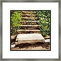 Step Up #maryjane #420 #pun #getit? Framed Print