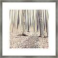 Steppin' Through The Last Days Of Autumn Framed Print