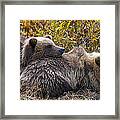 Stick With Me Framed Print