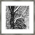 Still Falling Framed Print