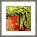 Still Life In Colorful Alley Framed Print
