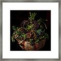 Still Life With Pumpkin And Succulents Framed Print
