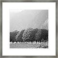 Stillness And Motion Framed Print