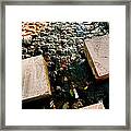 Stone Walking Framed Print