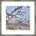 Stones And Driftwood On Jekyll Framed Print