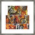 Stones On Fire Transcendental Textures Framed Print