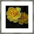 Stop And Smell The Roses Framed Print