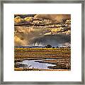 Storm Over Carson Wetlands Framed Print