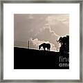Stormy Afternoon Framed Print