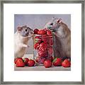 Strawberries Framed Print