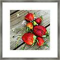 Strawberrries Framed Print