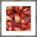 Strawberry Slices Framed Print