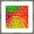 Straws In Color Framed Print