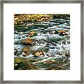 Stream Fall Colors Great Smoky Mountains Painted Framed Print