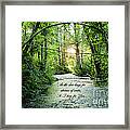 Streams Of Water Framed Print