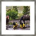 Streamside Framed Print