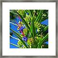 Study In Blue And Green Framed Print
