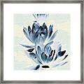 Study In Blue Framed Print