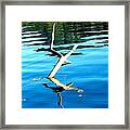 Stump Art 18 Framed Print