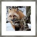 Stunning Sierra Framed Print