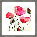 Stylized Poppy Flowers Illustration Framed Print