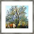 Suburbs - Late Afternoon In Spring Framed Print