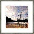 Sudbury Grist Mill Pond Winter Light Framed Print