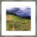 #sugarbowl Lap. The Super Fun Meadow Framed Print