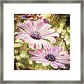 Summer Feeling Framed Print