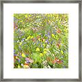 Summer Field Flowers.......... Framed Print