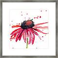 Summer Flowers Framed Print