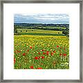 Summer In The Countryside Framed Print