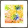 Summer Poppies 1 Framed Print