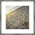 Summer's End Framed Print