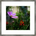 Summers Touch Framed Print
