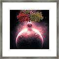 Sumteralling Framed Print Sumteralling Framed Print