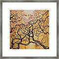 Sun And Sakura Framed Print