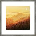 Sun Caress Framed Print