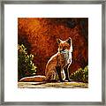 Sun Fox Framed Print