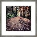 Sunday Walk With @e_lomas #leaves Framed Print