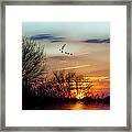 Sundown And Birds Framed Print