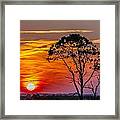 Sundown With Tree Framed Print