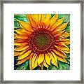 Sunflower - Paint Edition Framed Print