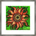 Sunflower 1 Framed Print