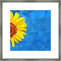 Sunflower Art Framed Print