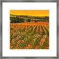 Sunflower Dream Framed Print